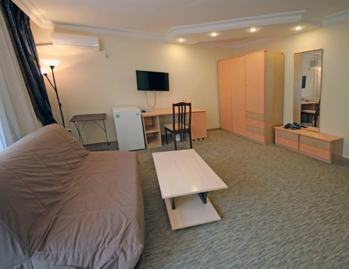 Стандарт ПК 2-местный - Санаторий «Родник» Анапа